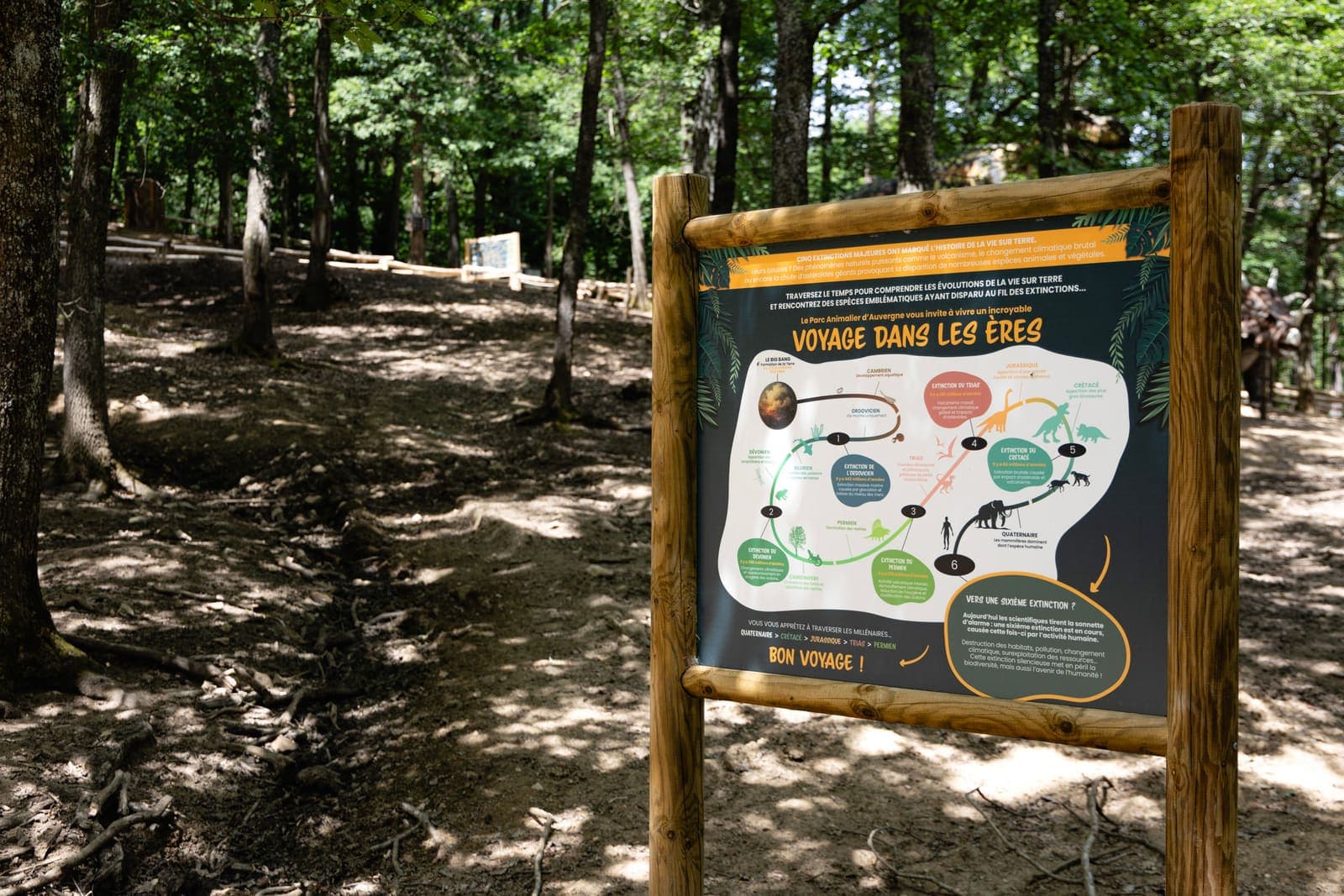 Reproductions de dinosaures grandeur nature dans le parcours