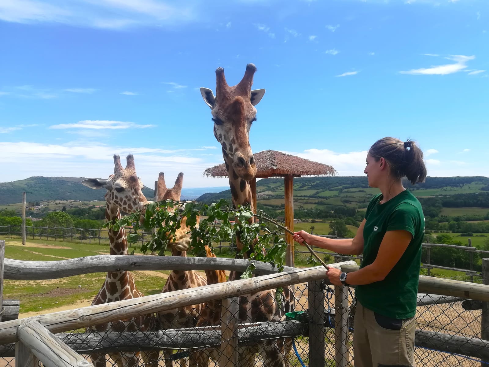 Camp Soigneur Animalier